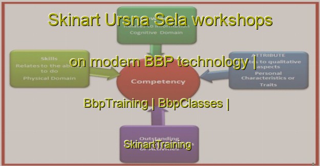 Skinart Ursna Sela workshops on modern BBP technology | BbpTraining | BbpClasses | SkinartTraining-Slovenia